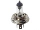 Lampa H5 Halogenlampe, 24V, 75/70W, P45T, 1 St. im Blister