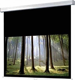 WS-P-ProCinema Rollo 16:9 200x117cm  bianco-opaco